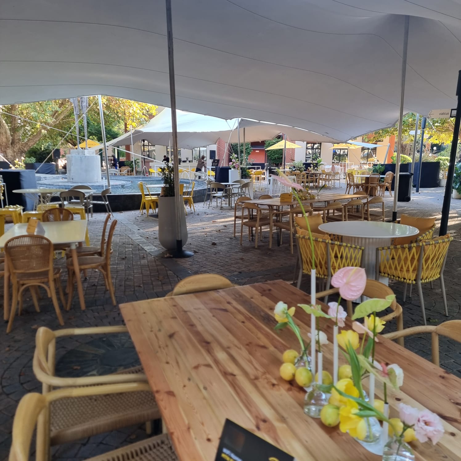 Creating a welcoming home away from home for 350 guests at the VWV MTN Conference hospitality tent in Fairlands. ⛺️✨
Stylist Cara worked with a versatile base of neutrals, black, and yellow, but we really loved the energy brought in by those fresh pops of pink and green. It’s all about finding that balance between a professional corporate setting and a vibrant, comfortable space.
Special thanks to our floral partners:
🌸 Florals: @shopbotanicus
#UrbantonicJHB #VWV #MTNConference #HospitalityDesign #EventStyling #JoburgEvents #Fairlands #CorporateHospitality
