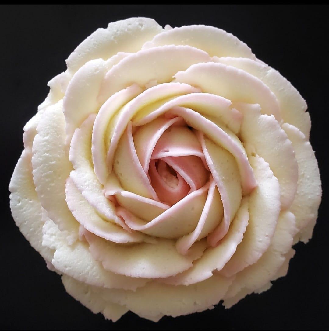 Nothing beats a buttercream rose. 🌹✨
Big roses, mini roses... we're obsessed with them all! Every swirl is piped by hand, and somehow they never get old. They're elegant, delicious, and almost too pretty to eat (almost 😉).
Which is your favourite—mini roses or the classic full-size bloom? Let us know below! ❤️
#ButtercreamFlowers #CupcakeArt #EdibleFlowers #TheSweetSpotCakes #TorontoBaker