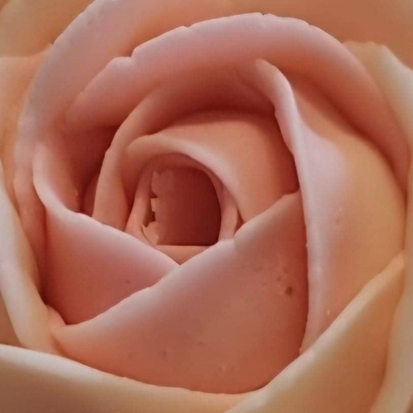 Nothing beats a buttercream rose. 🌹✨
Big roses, mini roses... we're obsessed with them all! Every swirl is piped by hand, and somehow they never get old. They're elegant, delicious, and almost too pretty to eat (almost 😉).
Which is your favourite—mini roses or the classic full-size bloom? Let us know below! ❤️
#ButtercreamFlowers #CupcakeArt #EdibleFlowers #TheSweetSpotCakes #TorontoBaker