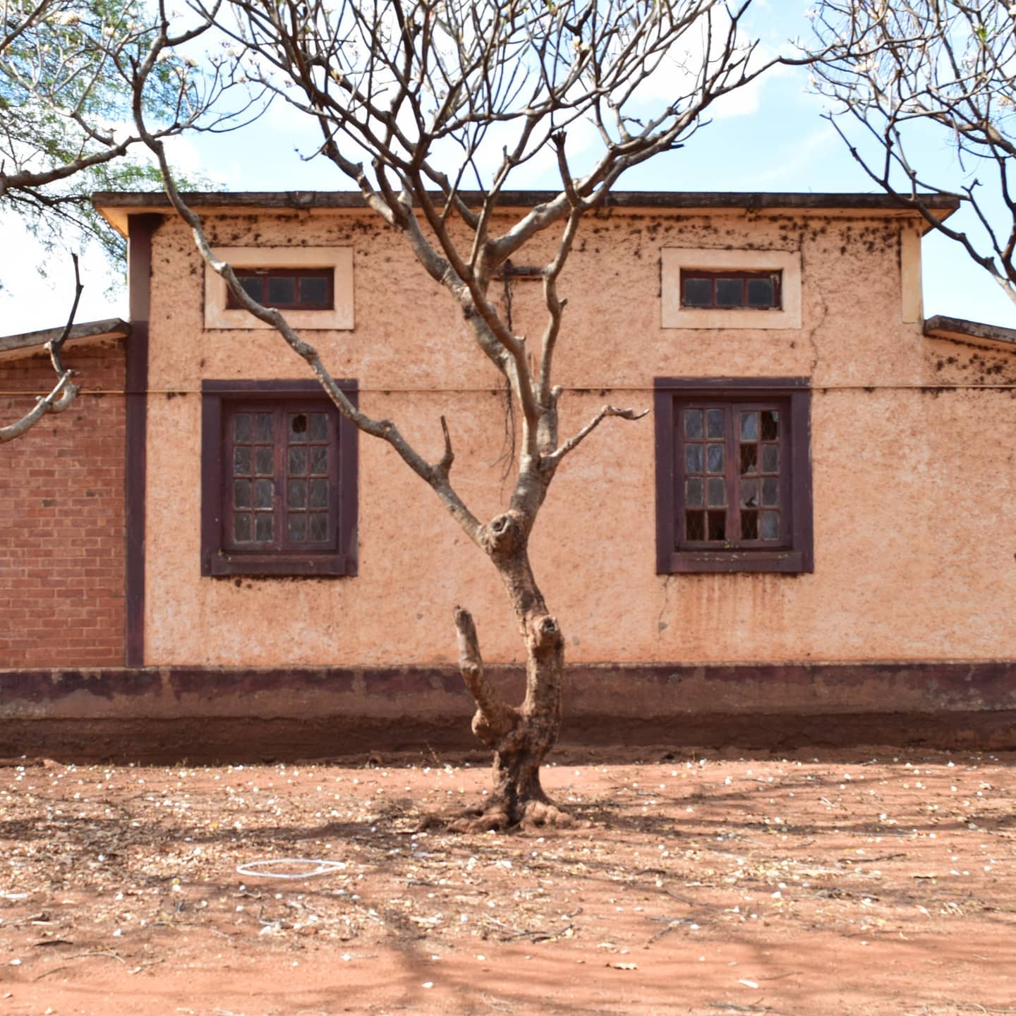 "Mbona unapiga picha hizi vitu bure, si afadhali unipige mimi". Hili ni swahili ambalo niliulizwa na mpita njia mmoja huko Taveta.
Japo swali lilikuwa la kuchekesha, lilinihuzunisha sana na baada yake nilianza kujishuku na kujiuliza kama kweli kazi hii ina umuhimu wowote. Kumbuka, wakati huu nilikuwa mwanafunzi katika chuo kikuu, sikuwa na pesa wala namna ya kuenedelea na mradi huu pasi na msaada niliopata kutoka rafiki na familia yangu.
Licha ya hayo, Taveta ni stesheni iliyo nipendeza zaidi na stesheni ambayo kamwe sitasahau. Sio kwa usanifu wa mjengo na mazingira yake pekee, pia kwa funzo nililopata kutokana na lile swali. " Sio lazima watu wote waelewe sababu zako maishani, bora wewe ujiamini"