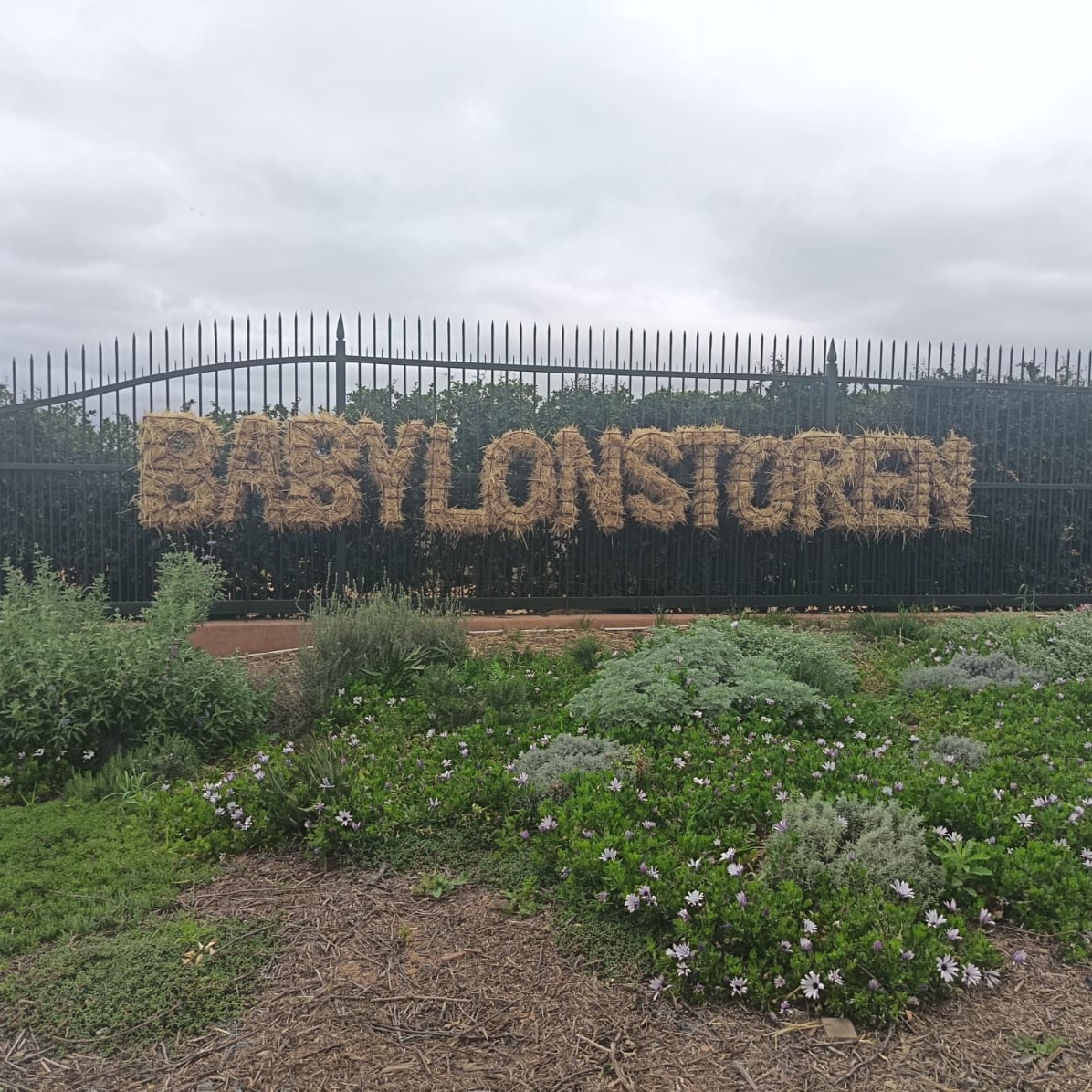 When Babylonstoren calls, you say yes. 😊
What started as a business relationship turned into an experience we’ll remember. We had the pleasure of spending time at the farm, surrounded by beautiful spaces, good company and an event that brought everything together.
We’re grateful for the invitation, the experience and the memories made along the way.
Here’s to the relationships that take you places , quite literally.😊