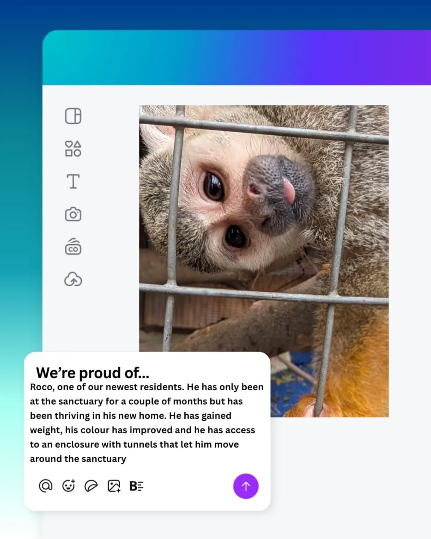 @canva has a wonderful project donating to charities. Fingers crossed they see our story! 🤣🥰
#canva1millionnfps #fypシ❤️💞❤️ #animals #charity #loveit