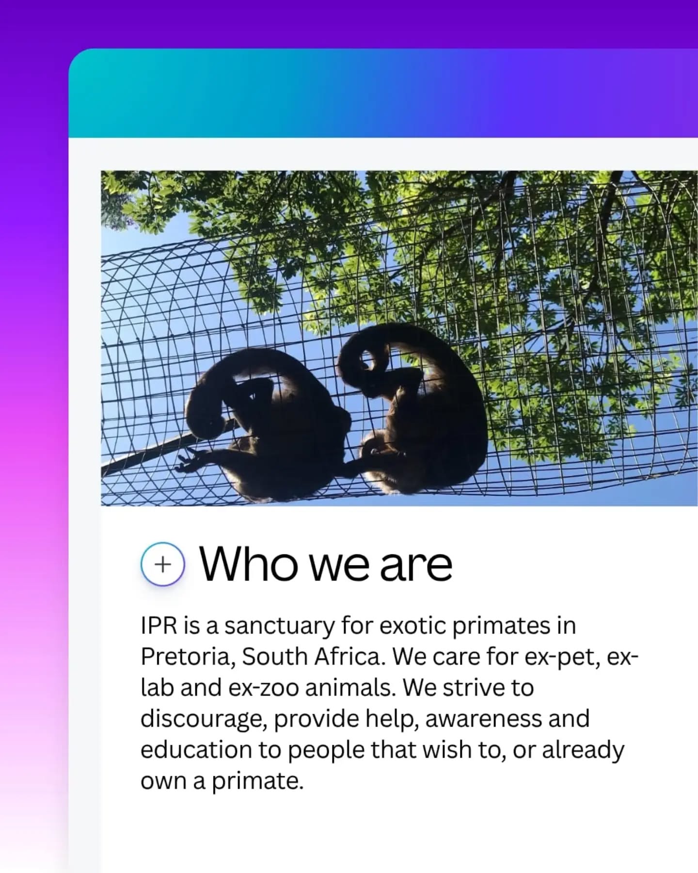 @canva has a wonderful project donating to charities. Fingers crossed they see our story! 🤣🥰
#canva1millionnfps #fypシ❤️💞❤️ #animals #charity #loveit