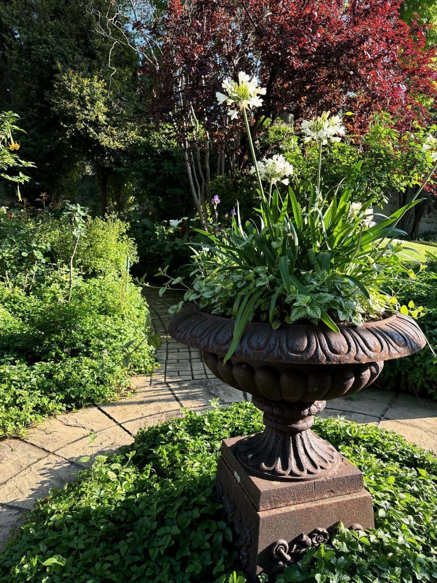 Today we’re celebrating our beautiful Retreat garden in full Spring bloom! 🌸 We can’t wait to share it with you. Book your next stay with us through the link in bio. 📍 Melrose North, Johannesburg
🔗 Link in bio #oxfordhealthcareretreat #somatichealing #restresetrenew #wellnessretreat #johannesburgretreat